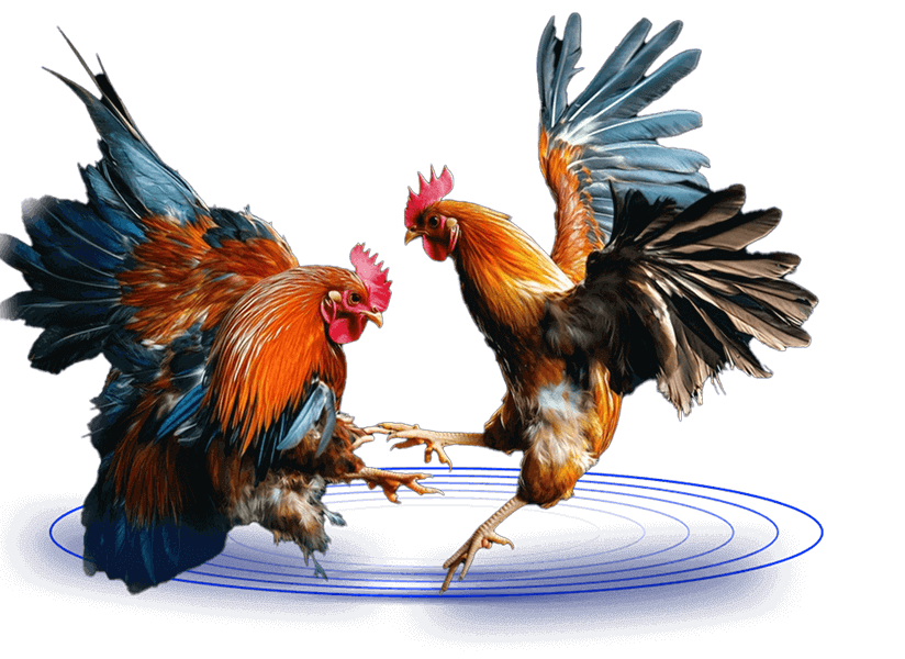 bj66-img-txt-sec-img-right-1